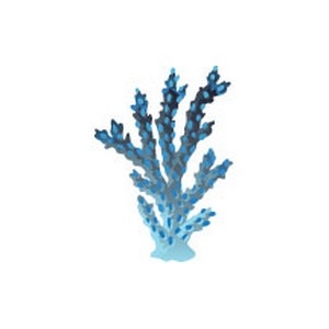 Realistic Coral 33